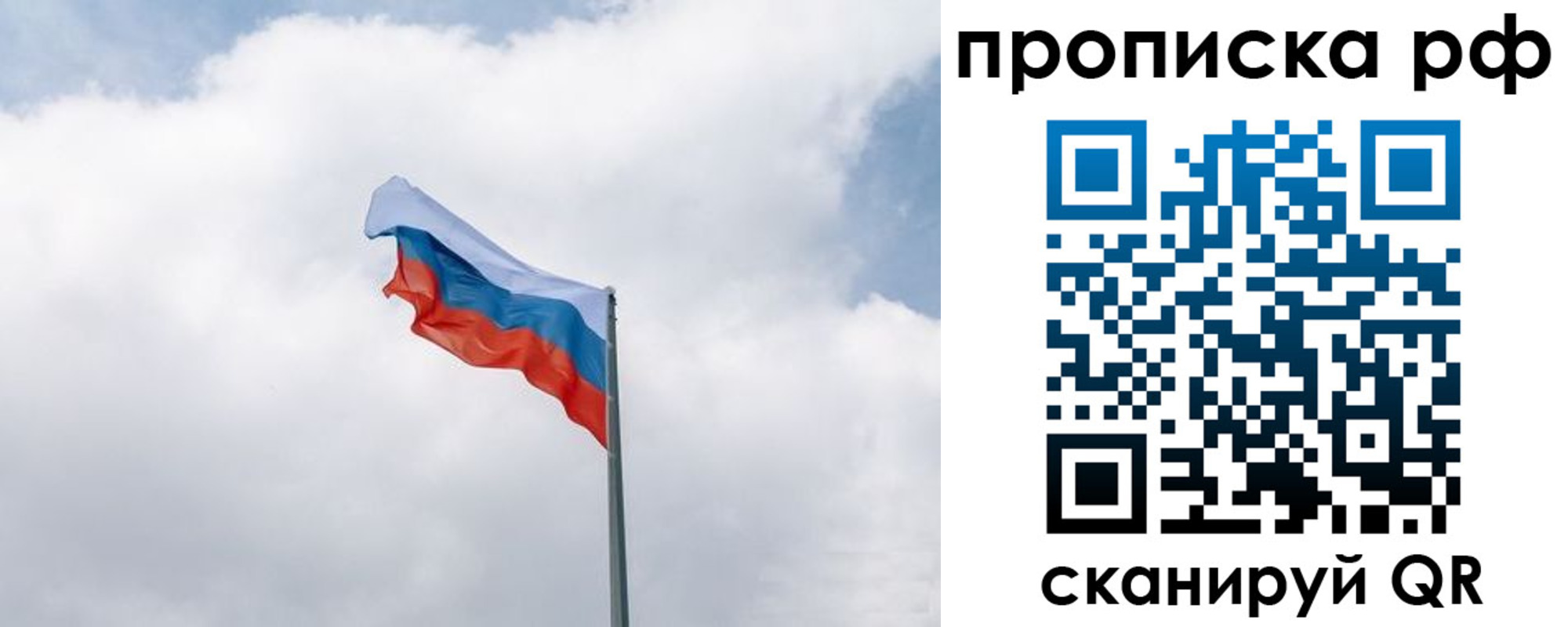 прописка гарантия в Владимирской области